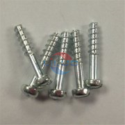 非標榴莲社区色情软件的應用領域有哪些呢？